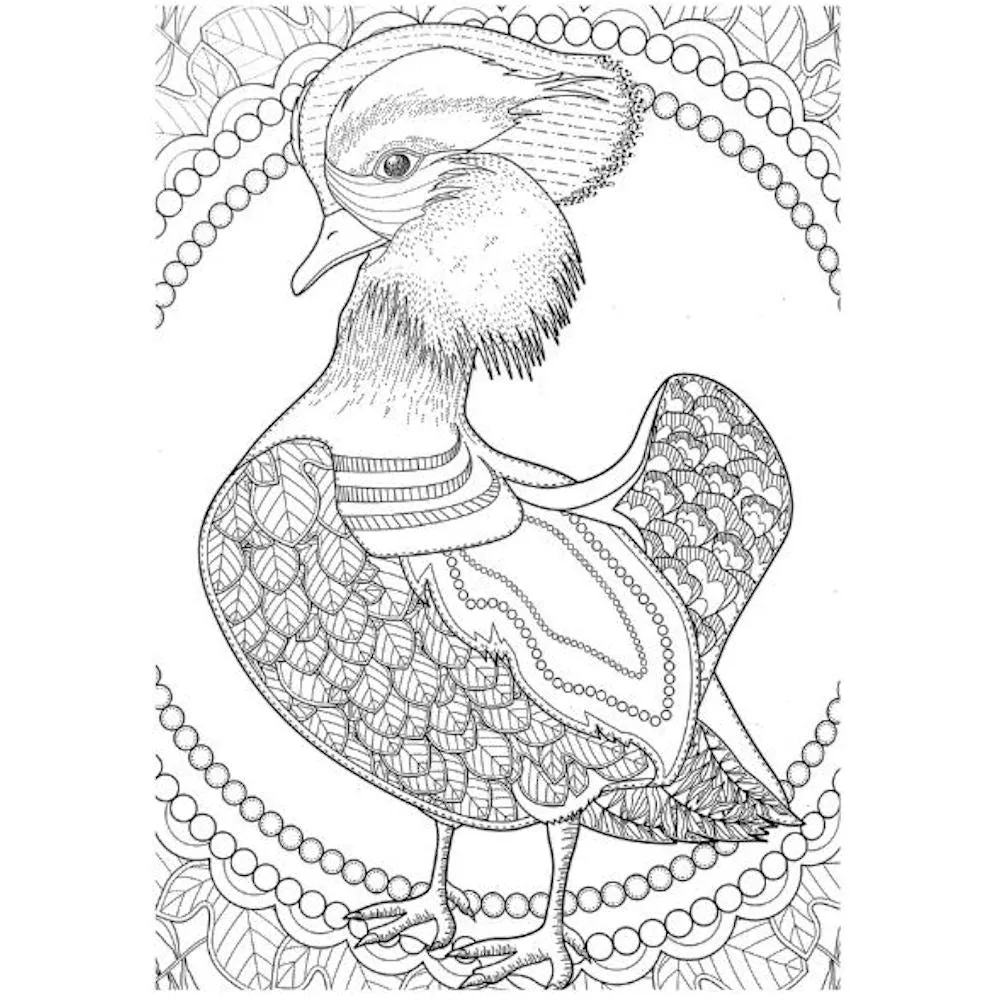 A4 Animals & Birds Adult Colouring Book - Assorted Intricate Designs Relaxing Art Therapy High Quality Paper Tranquil