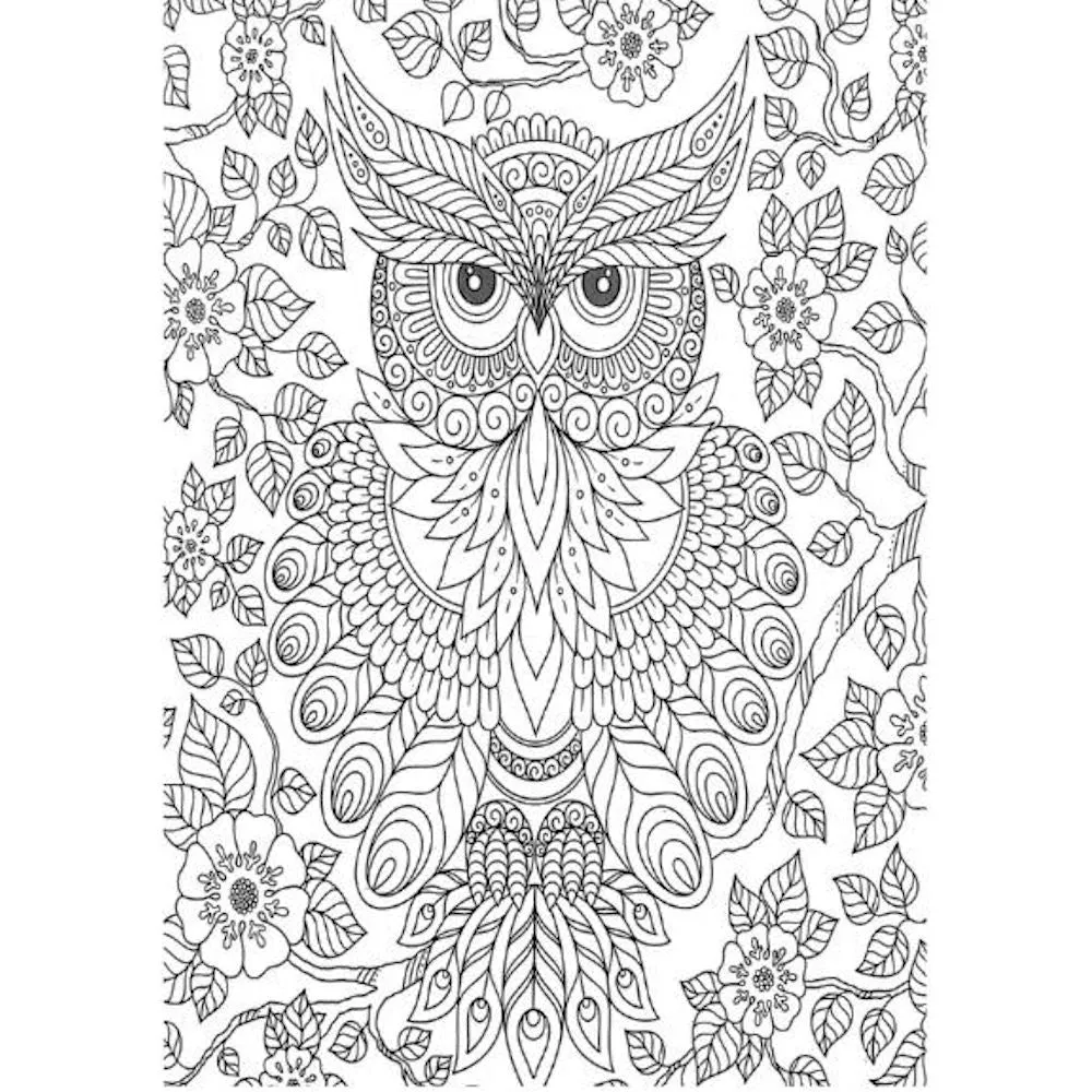A4 Animals & Birds Adult Colouring Book - Assorted Intricate Designs Relaxing Art Therapy High Quality Paper Tranquil