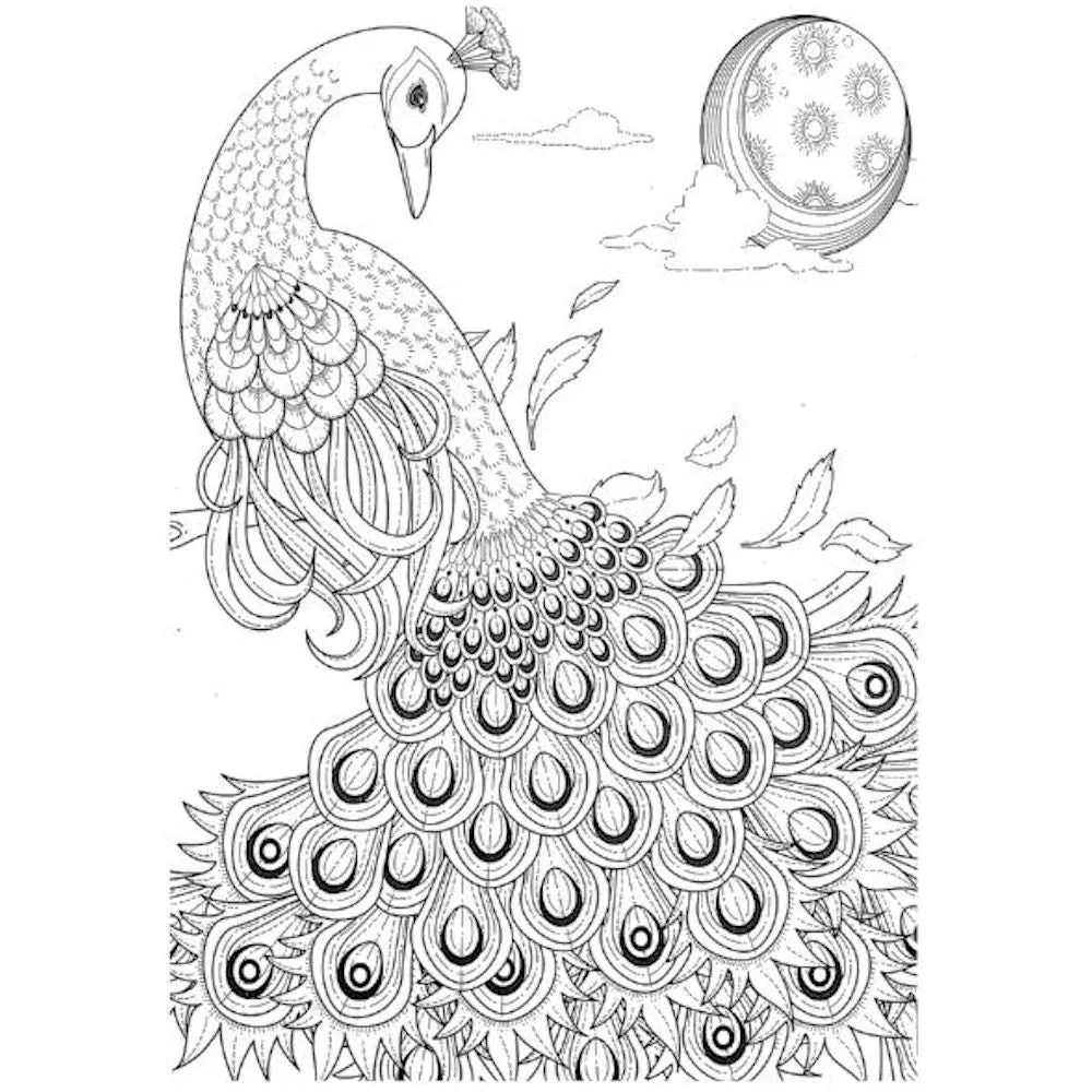A4 Animals & Birds Adult Colouring Book - Assorted Intricate Designs Relaxing Art Therapy High Quality Paper Tranquil