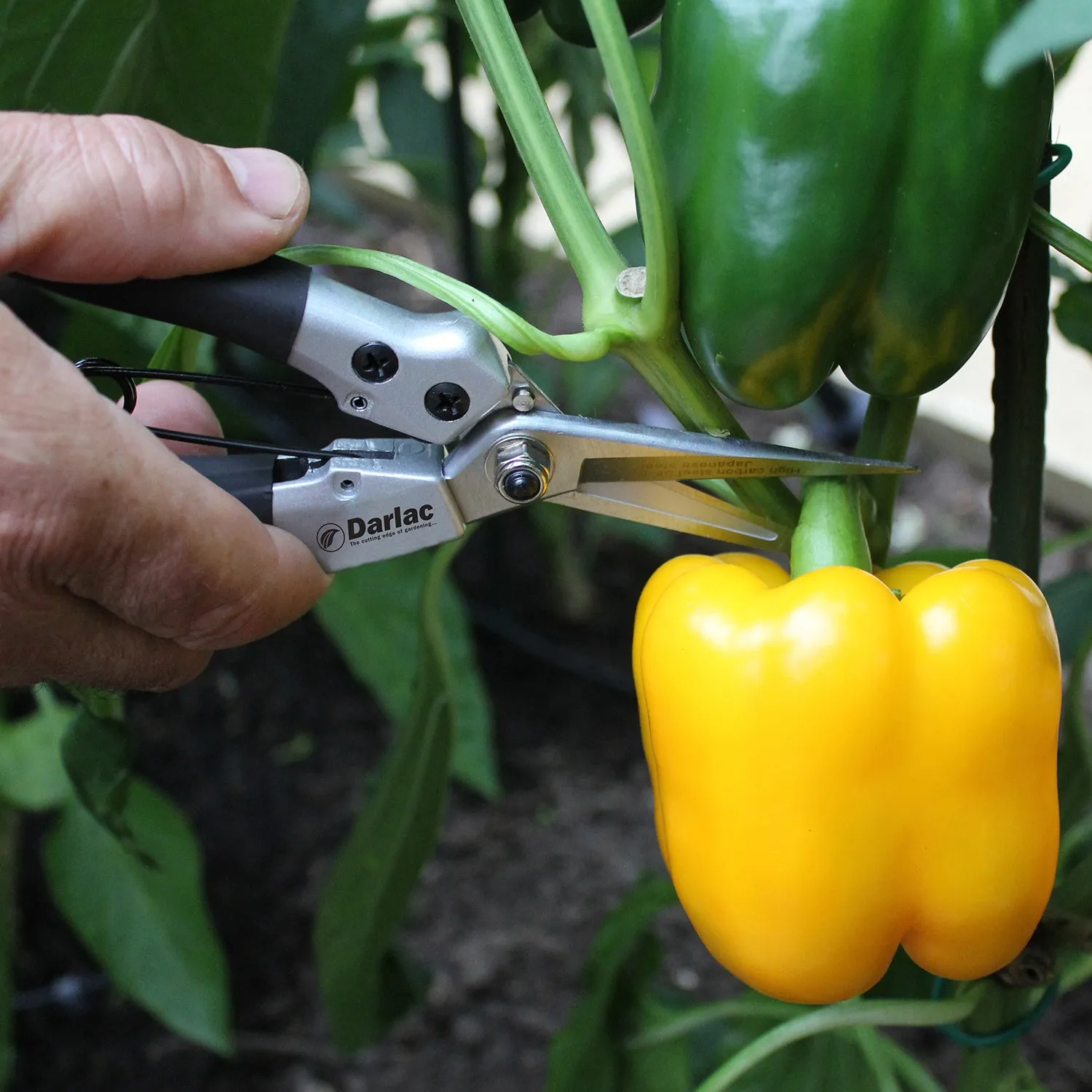 Darlac DP42 Compact Snips