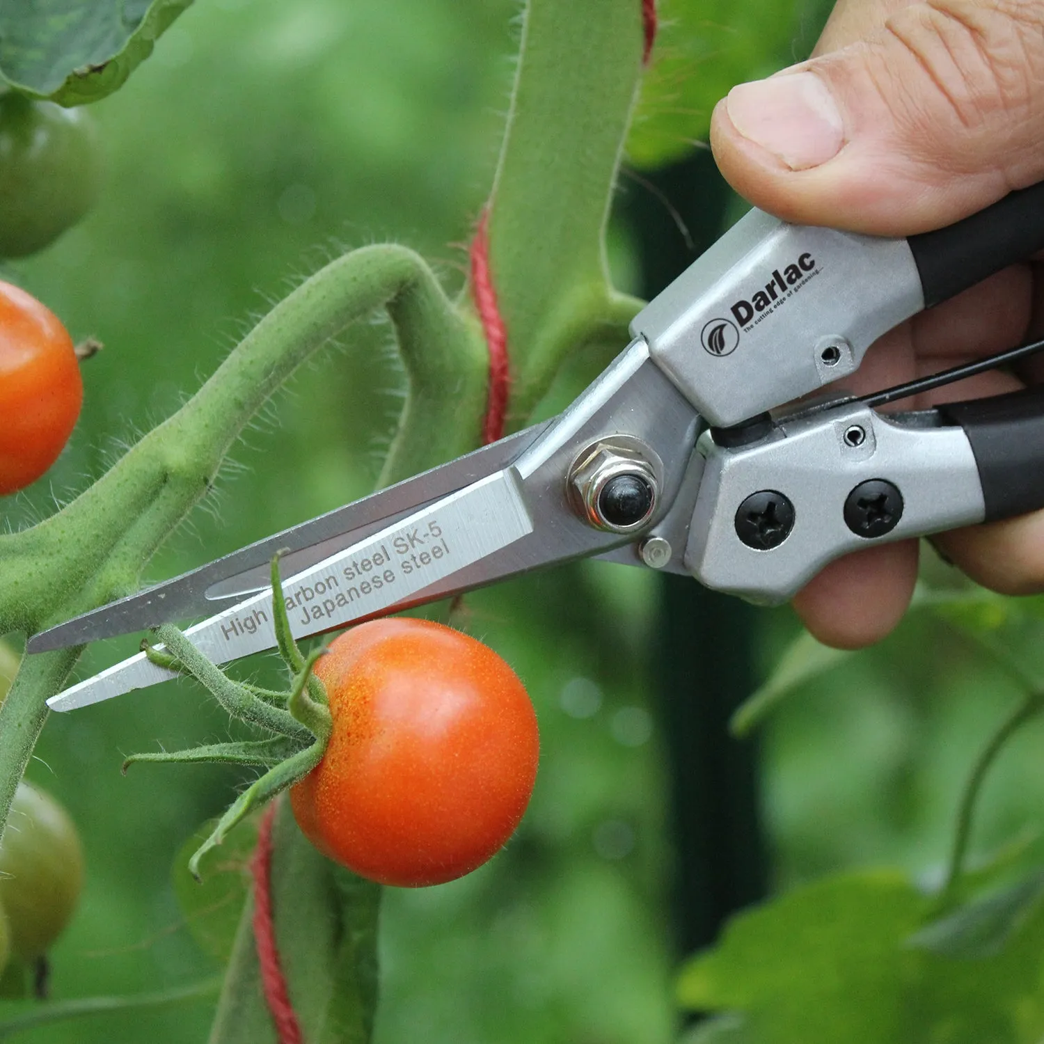 Darlac DP42 Compact Snips