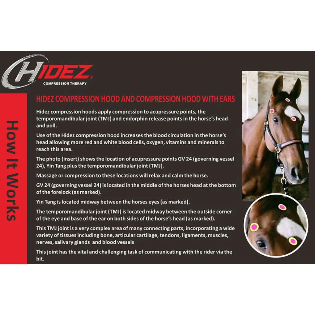 Hidez Compression Hood with Zipper and Ears NAVY
