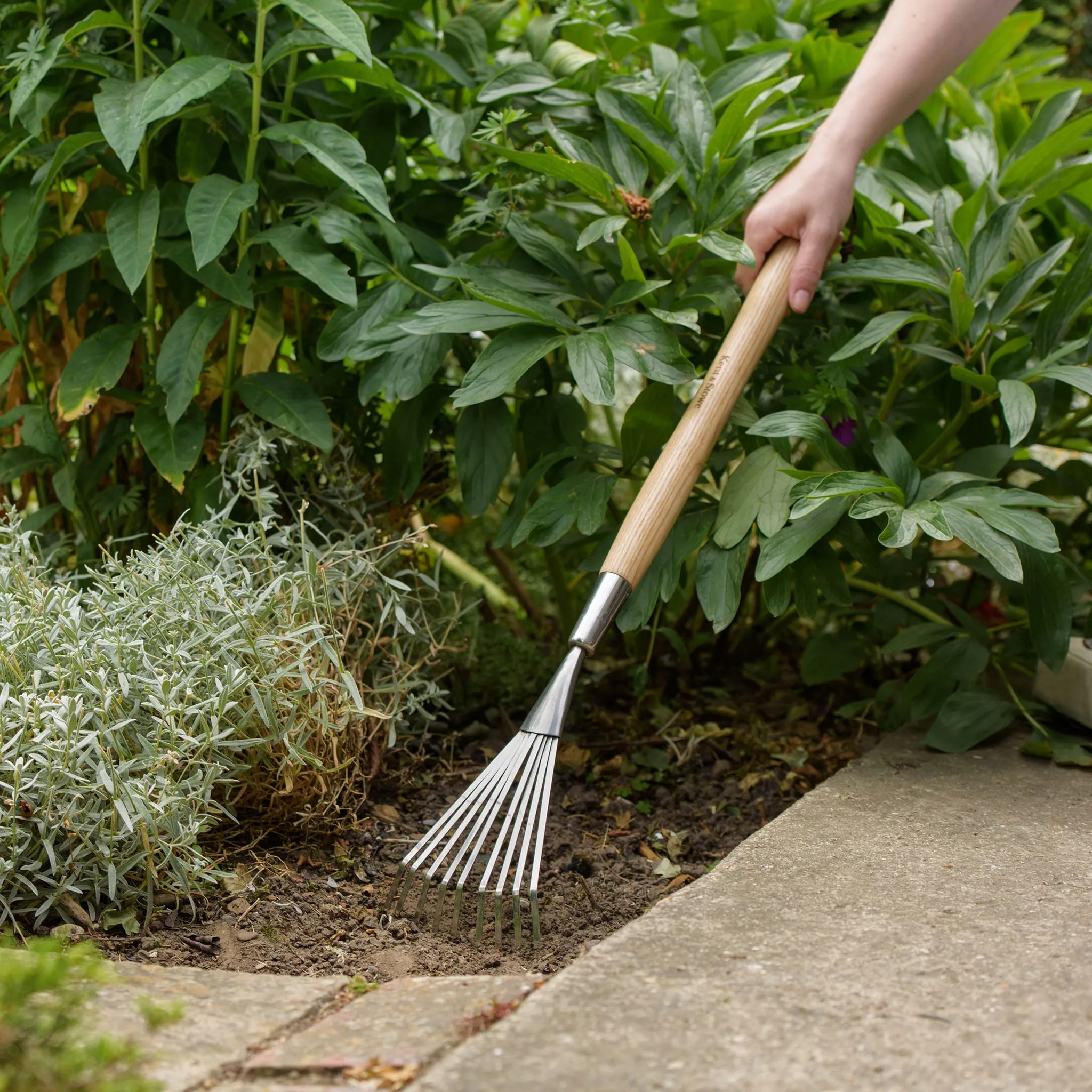 Kent & Stowe Stainless Steel Border Hand Shrub Rake