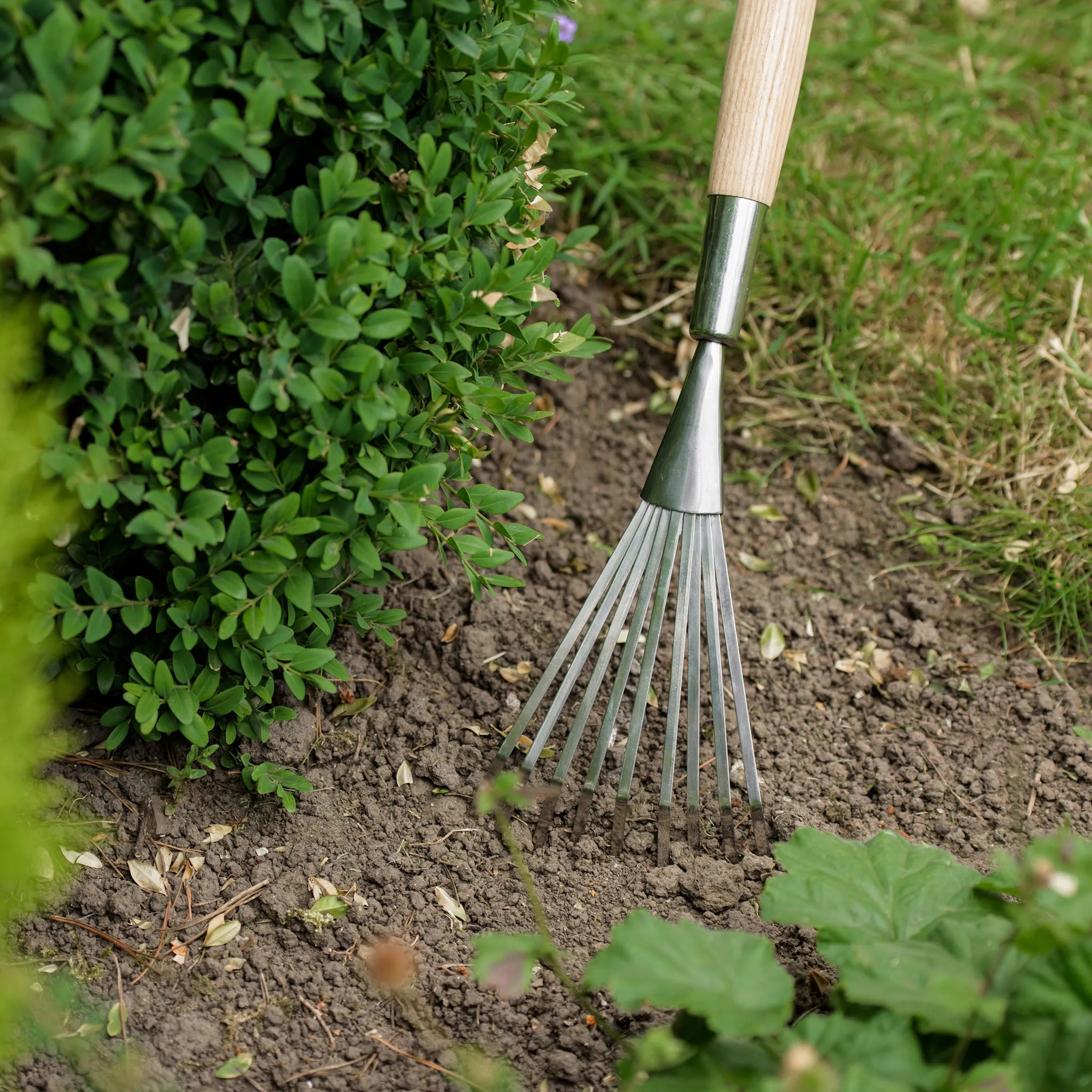 Kent & Stowe Stainless Steel Border Hand Shrub Rake