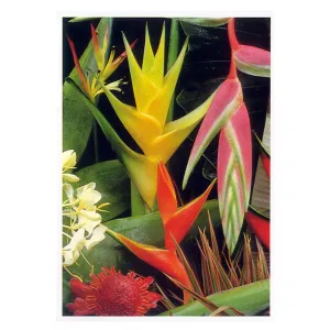 "Tropical Arrangement I" Full Color Greeting Card with Envelope