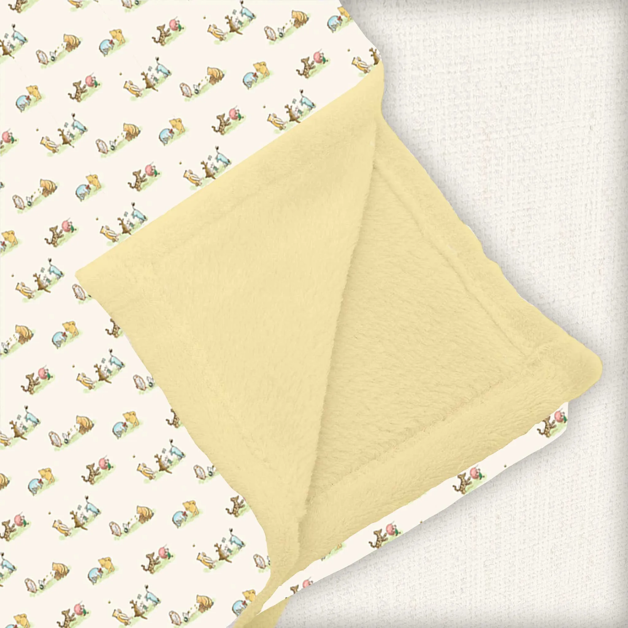 Sweet Summer Vintage Pooh - Minky Lush Blankets