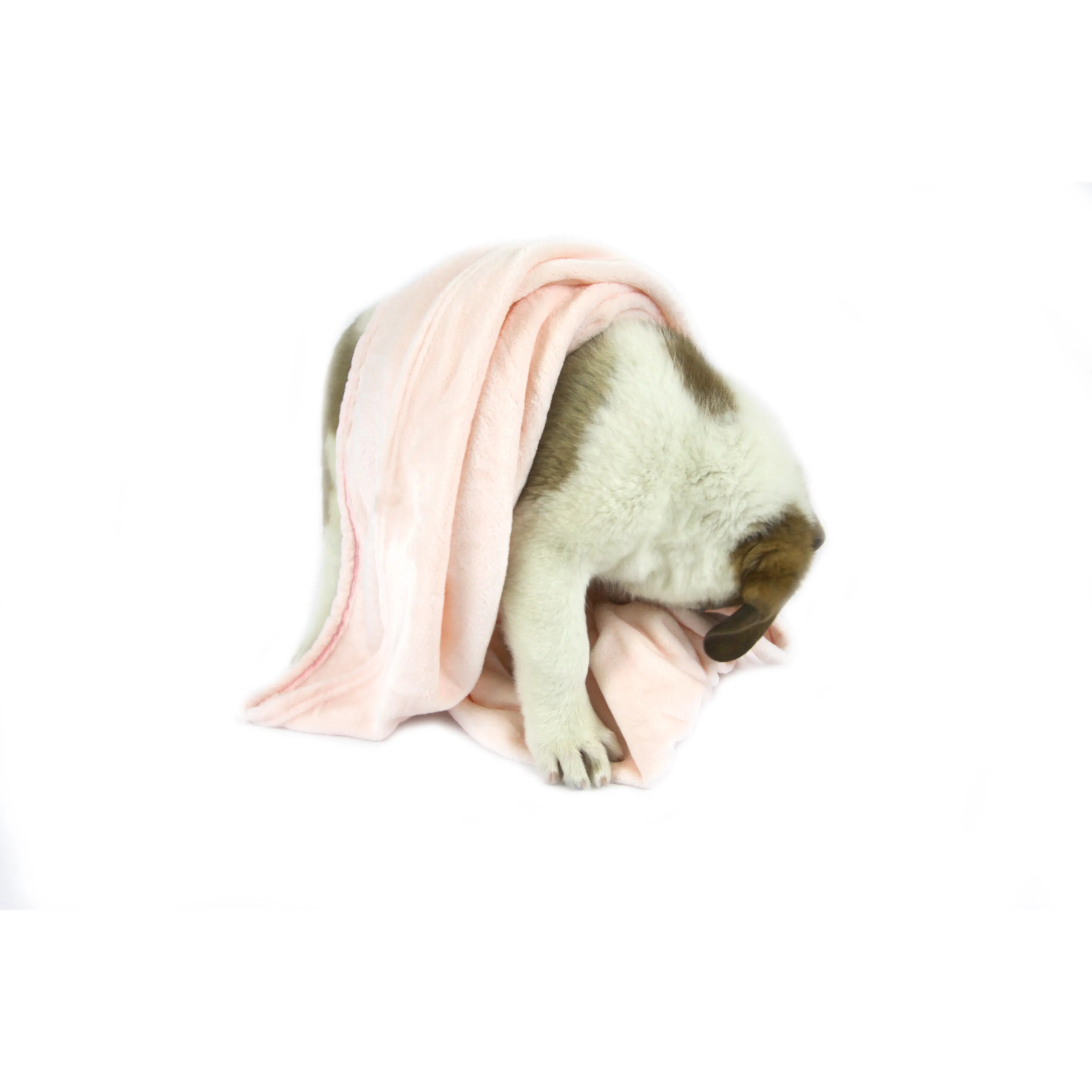 T&S Snuggle Pink Dog Blanket Large