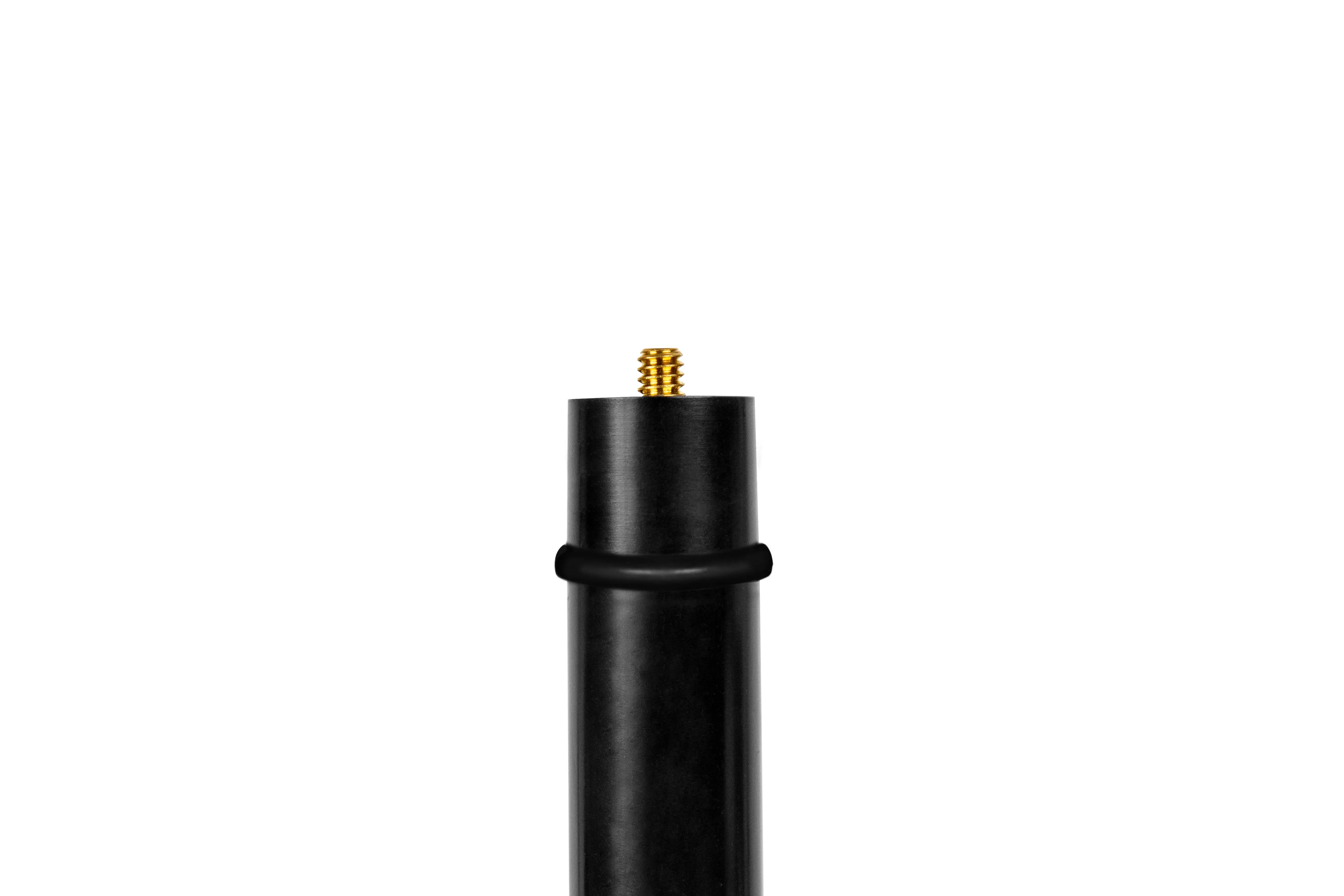 TikiTunes 40” Adjustable Pole and Ground Stake